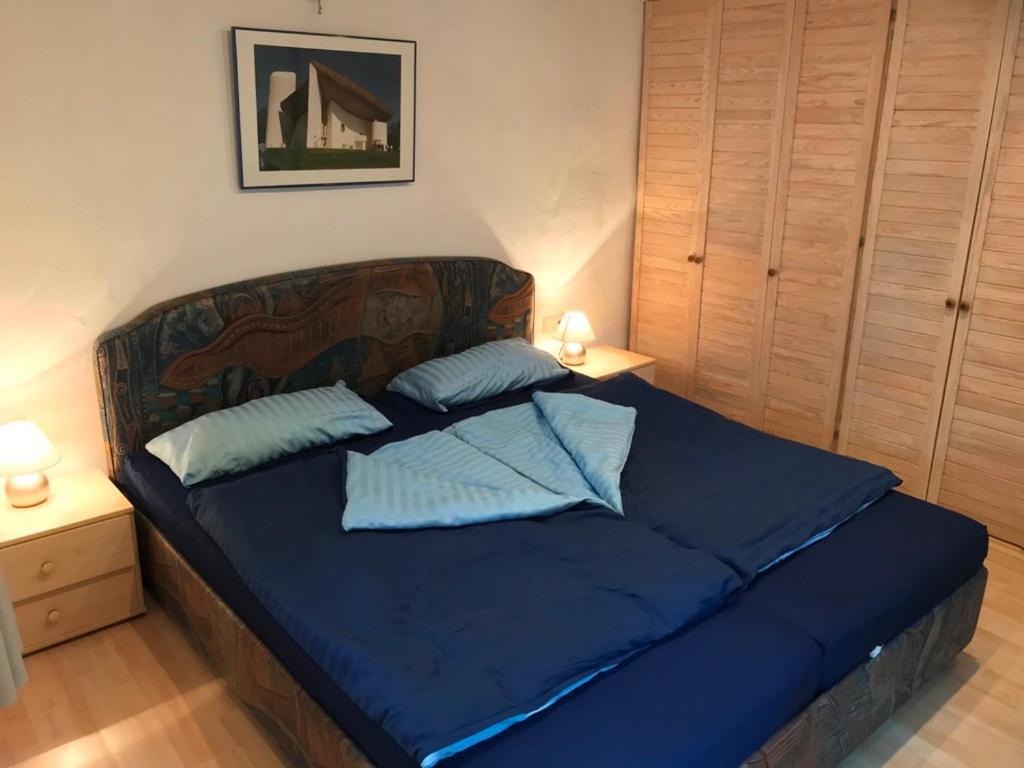 Ifam - Ihr Ferienhaus Am Main Zellingen Ngoại thất bức ảnh